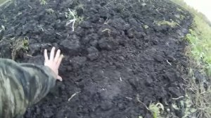Попробуем начать сначала. Делаю мелкую вспашку по заросшему полю.