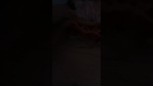 обзор на домик мини реборна