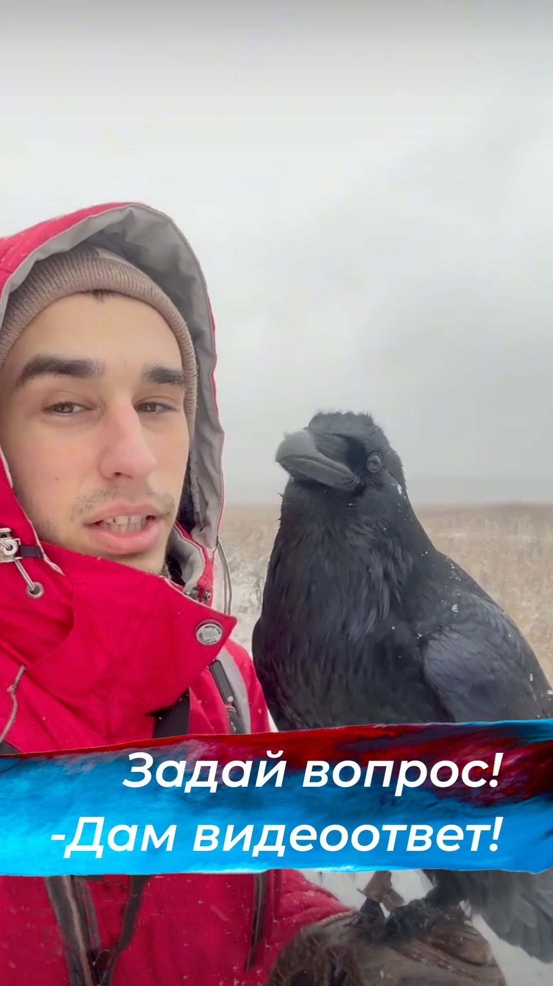 Задай вопрос и получи ответ в видео! смотреть онлайн