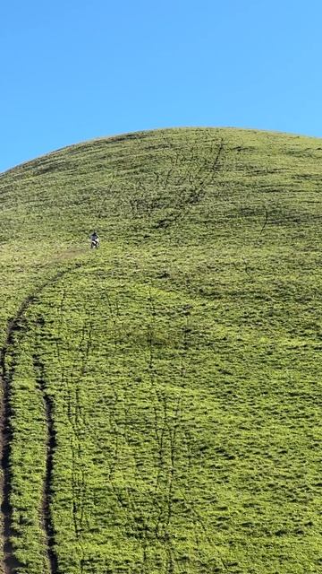 песчанка смотреть онлайн