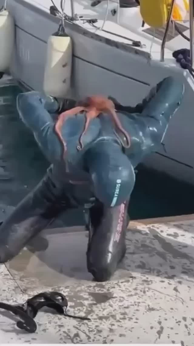 Осьминог 🐙 напал на водолаза в Турции смотреть онлайн