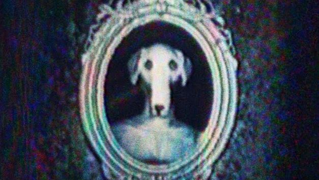 Dexter el perro 1 season all episodes expgoat смотреть онлайн