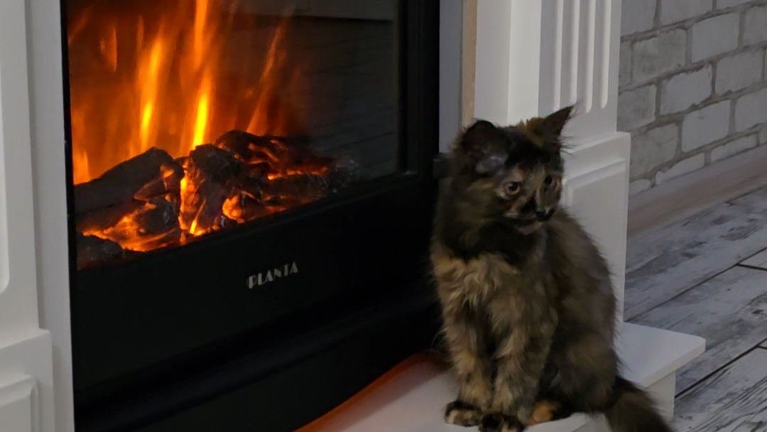 ✨️Я осталась без хрена✨️Пошёл в разнос✨️ смотреть онлайн