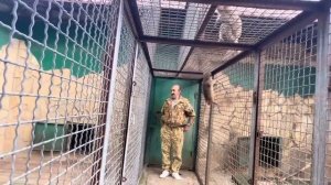 Мы в СТУПОРЕ! Влад просто взял Люсю, открыл дверь и она ЗАШЛА к Елисею и Лиде