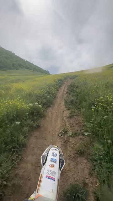 2025_05_08_13_30_IMG_0975 смотреть онлайн