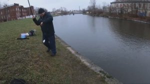 Ловится Окунь, Плотва, Подлещик. Рыбалка на реке Ижора.