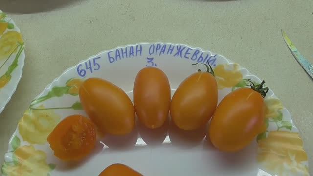 Лучшие томаты для консервации. Томат Банан оранжевый. №645. Обзор сорта. 2021 год. смотреть онлайн