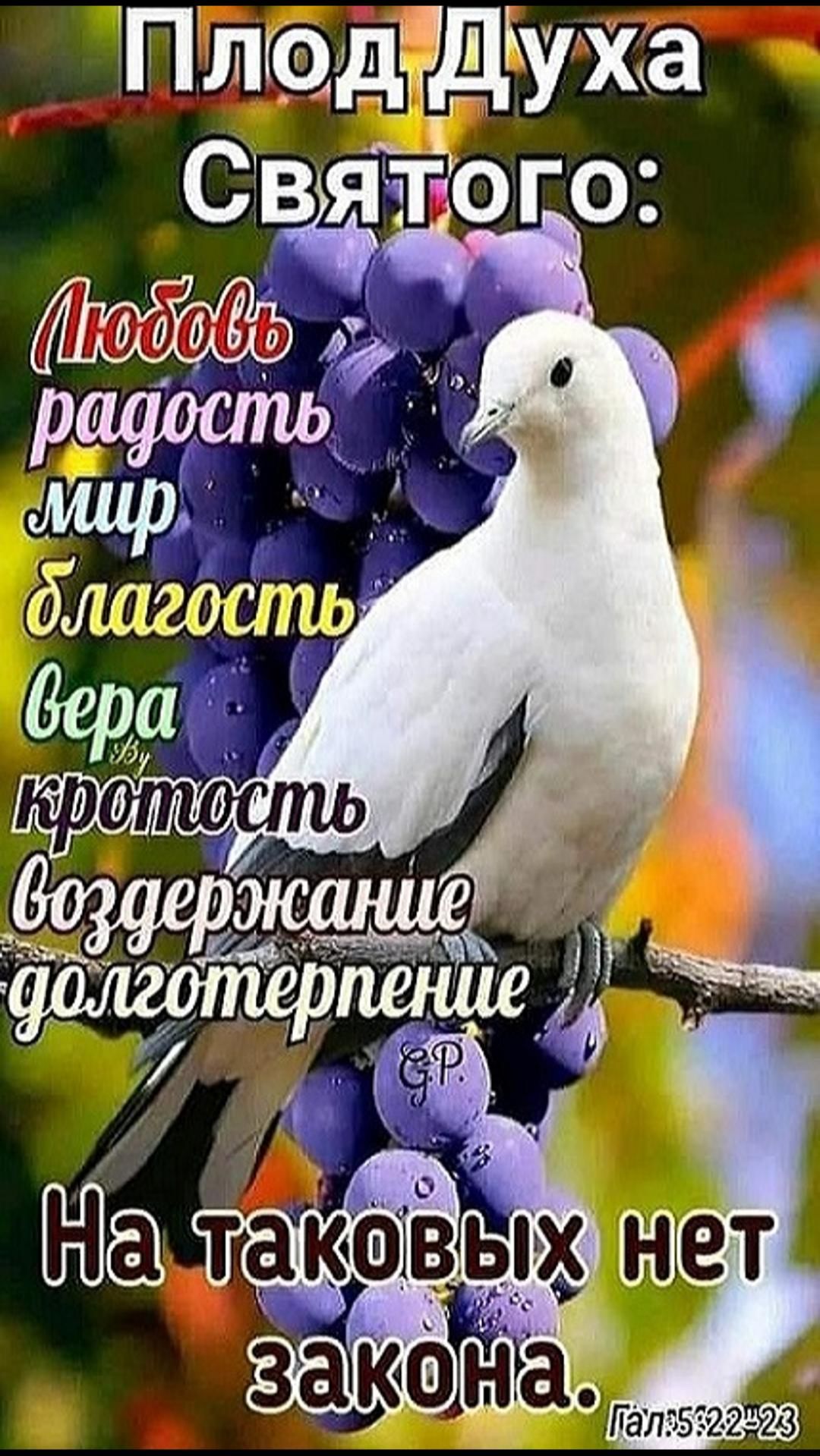 Долготерпение - это плод Духа / Церковь «Слово Жизни» Оренбург*/ #woloren #вера #Бог