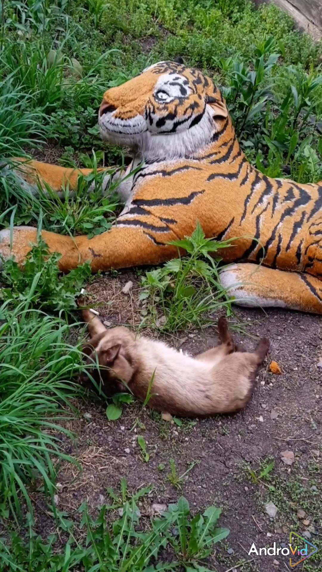 "Никогда не отказывайся от того, что заставляет тебя улыбаться." Летний позитив! Животные и цветы! смотреть онлайн