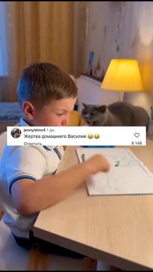 Кот Вася контролирует , чтоб домашние задание было сделано ✅