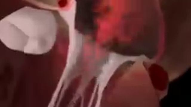 кровообращение сердца