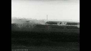 Еще одна пара результативных вечеров охоты на шакала в Волгоградских степях.