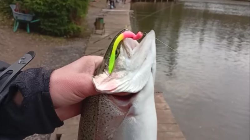 Утро на Нижнем. Клёвое место Лосиный остров. смотреть онлайн