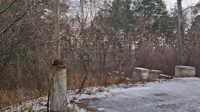 14-11-2025 к психиатру пошла на приём смотреть онлайн