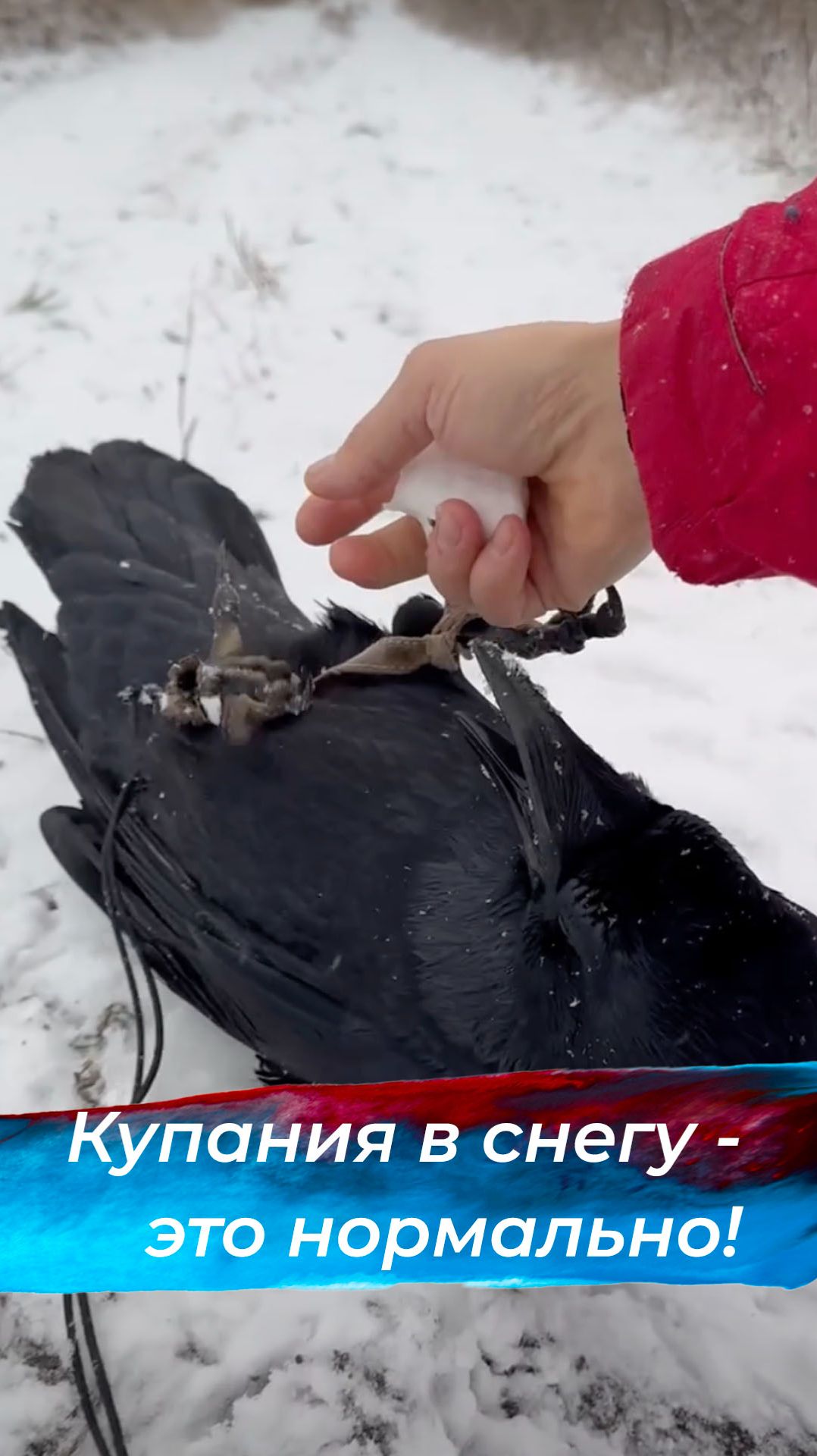 Зимой классно! Главное, чтобы слякоти не было смотреть онлайн