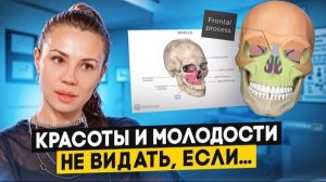 Кость красоты МАКСИЛЛА, мьюинг и позиция языка – всё что надо знать о молодости лица