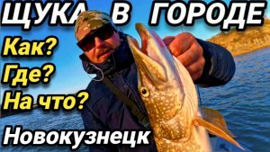 Городская щука на крючке🎣 Джиг в Новокузнецке - где ловить и на что