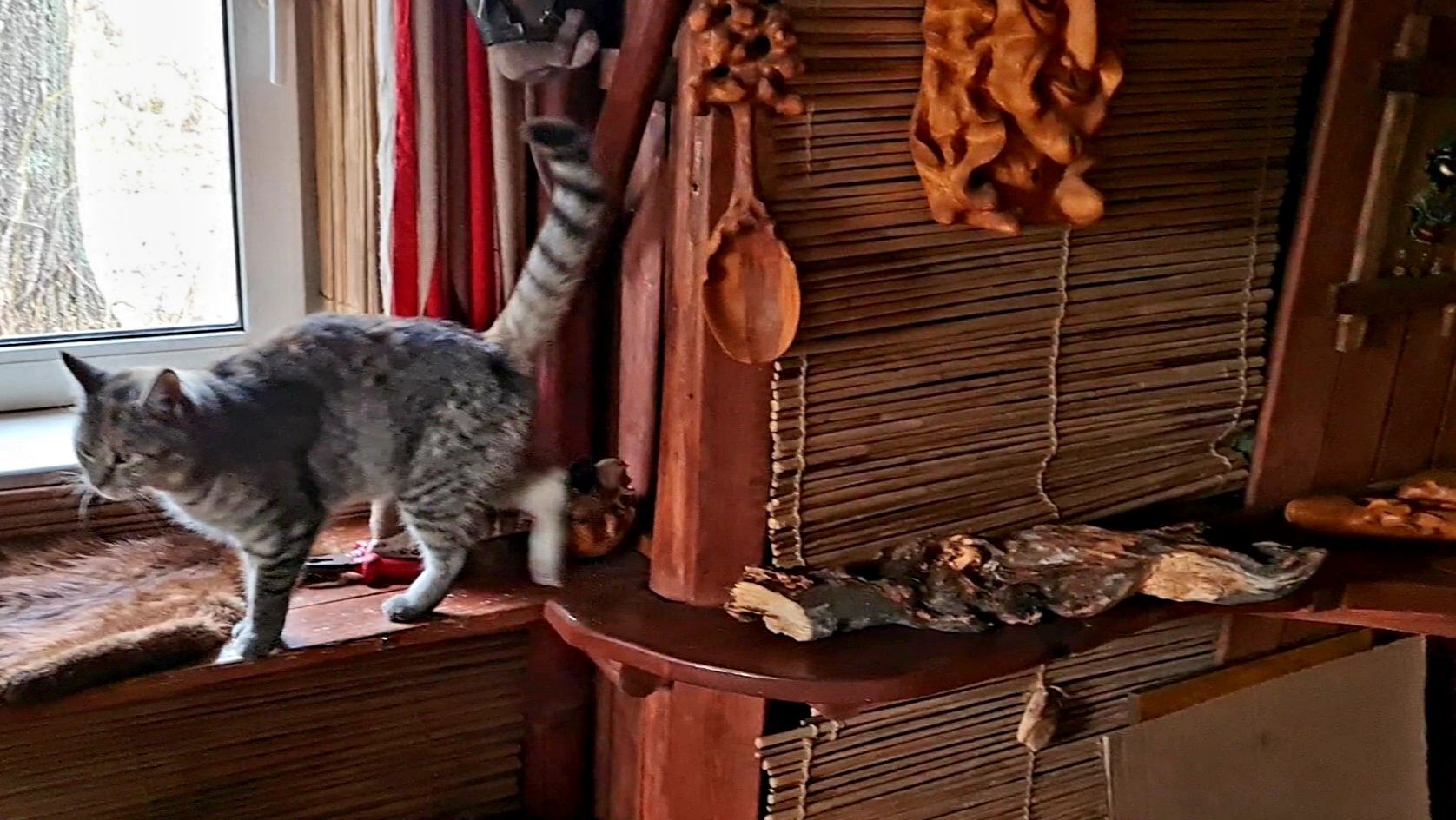 Занятная коряга, лось у деревни и полосатый лист смотреть онлайн