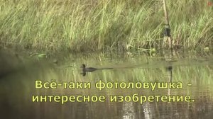 Золотой октябрь #13