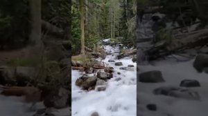 Песня:"Поговорим о жизни пацаны!"