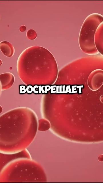 семь продуктов которые вычистить твой Так, что мама не горюй смотреть онлайн