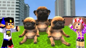 МЫ НАШЛИ PIBBLE WASH MY BELLY в МАЙНКРАФТ ДЕВУШКА НУБ ПРО ВИДЕО ТРОЛЛИНГ MINECRAFT Евгенбро