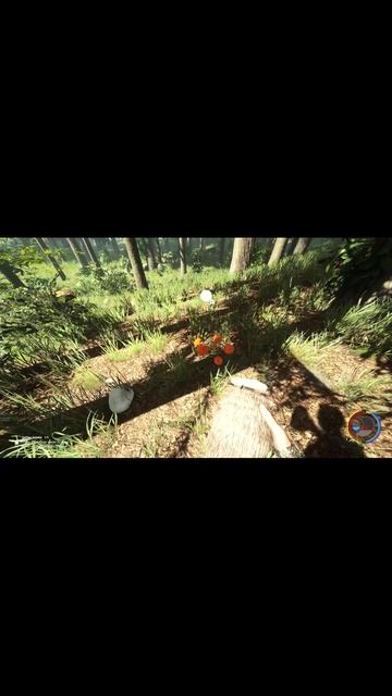 survival смотреть онлайн
