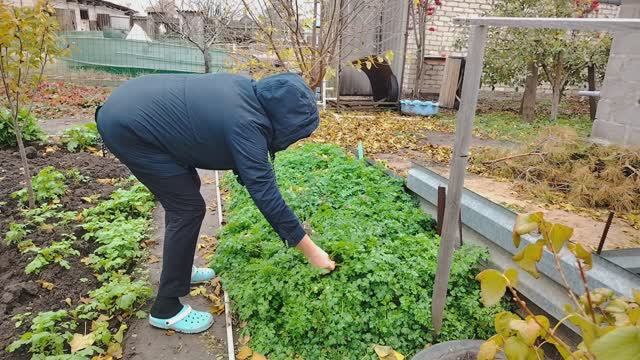 06.11.2025г. // ПЛОХО БЕЗ НЕЕ// НАВАРИЛА БОРЩ смотреть онлайн