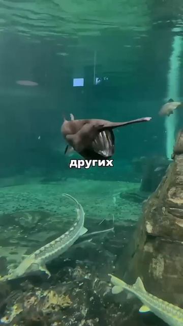 уникальная пустыня смотреть онлайн