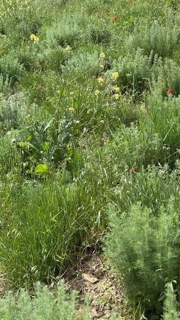 2025_05_08_12_42_IMG_0935 смотреть онлайн