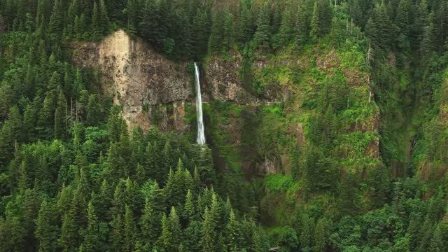 Восхитительная природа Dolby Vision С разрешением 8K HDR смотреть онлайн