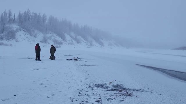 Ноябрьский хариус река Дудинка Норильск 2025 смотреть онлайн