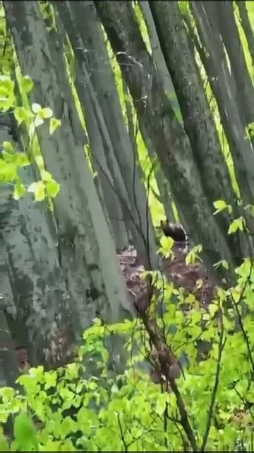 2025_05_07_16_15_IMG_0828 смотреть онлайн