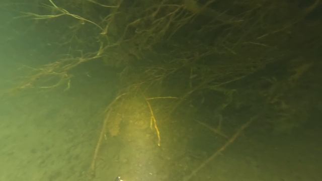 с. Замятино