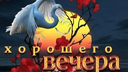 Добрый вечер. Музыкальная открытка. смотреть онлайн