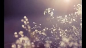 МАГИЯ МЕНЯЕТ ЖИЗНЬ... люди говорят