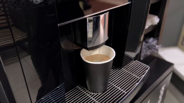 Black Cat кофейни