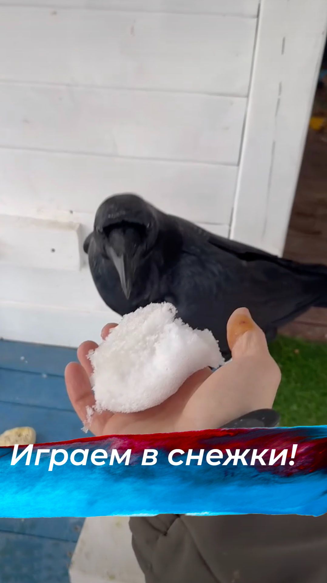 Уже в снежки играем 😅 смотреть онлайн