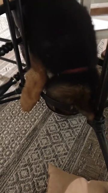 Баларис ТАСМАНИЯ, 3 месяца смотреть онлайн