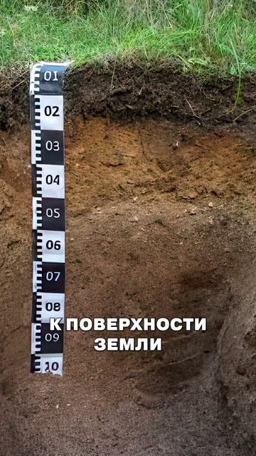 ПОЧЕМУ в Питере нельзя оставлять машину в подземном паркинге #спб #недвижимость #авто смотреть онлайн