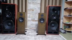 Stereotest monitor 7 против ас Алексея Белякова