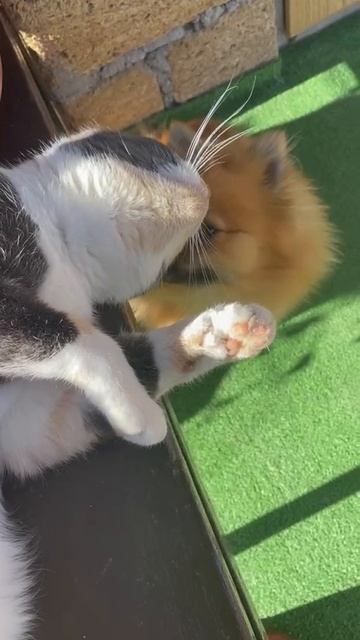 Любовь 💖💖💖 смотреть онлайн