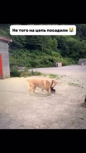 Перепутали