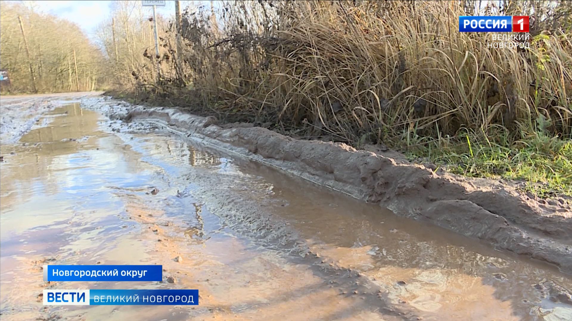 ГТРК СЛАВИЯ Дорога Подберезье -Теремец 14.11.25 смотреть онлайн