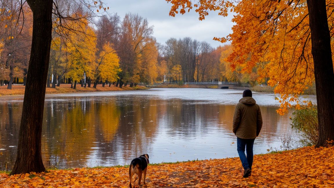©Осенние Кузьминки-прелюдия зимы. С.Весенин-стихи смотреть онлайн