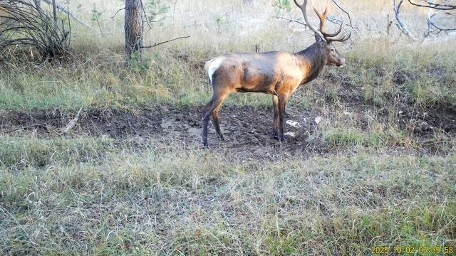 Государственный природный заповедник. «Ялтинский горно-лесной». смотреть онлайн