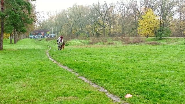 1. выражено/пож STAR WINNER ARIDANI (Marcelo du Val D*Anzin – Star Winner Troya) смотреть онлайн