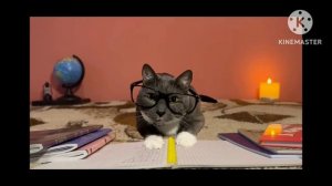 Амир и Мультяшки 6 Серия 1 Сезон Как поймать Бубу?