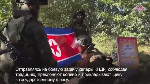 🇷🇺🇰🇵 Их задача – помочь вернуть мир и спокойствие В Курском приграничье сапёры из КНДР смотреть онлайн