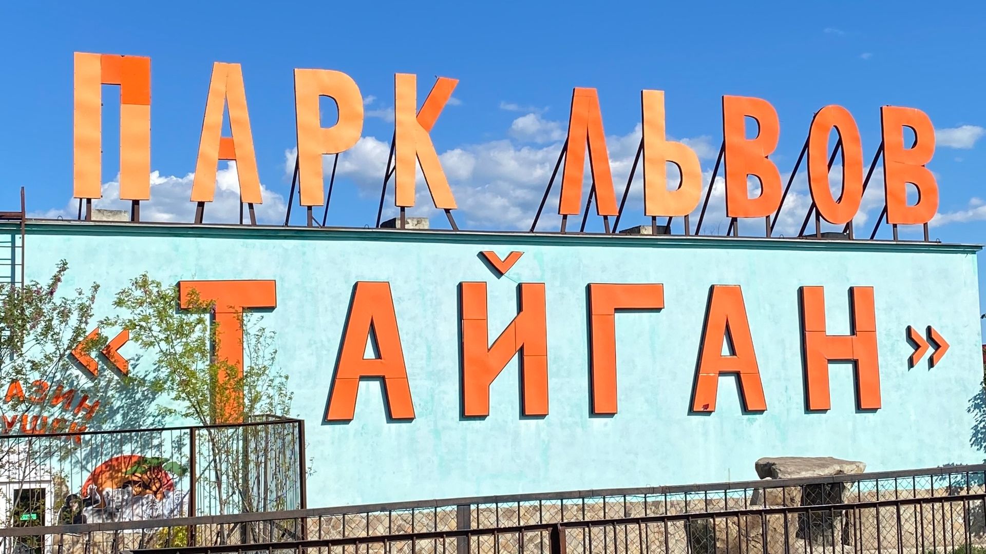 Парк львов Тайган